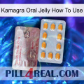 Kamagra Oral Jelly How To Use new13